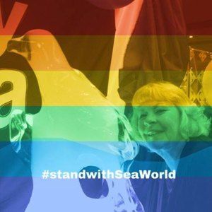 Meet your Posher, Torri